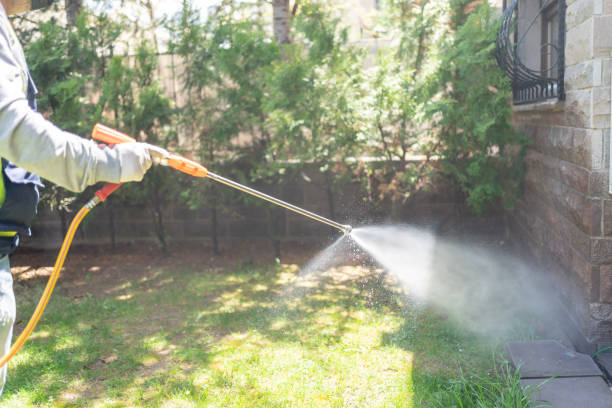 Emergency Pest Control Services in Oildale, CA